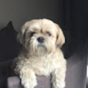 Meet your Posher, Lexie